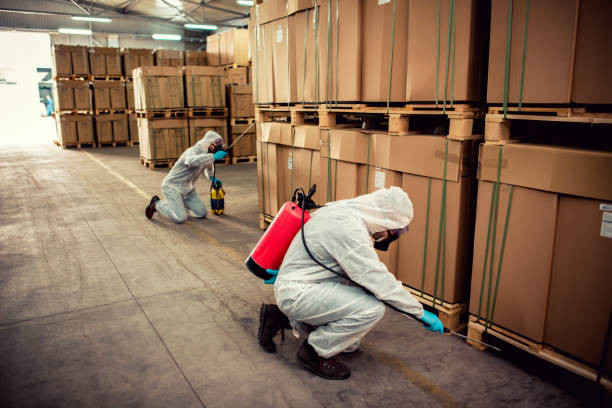 Best Pest Control Near Me  in Lisbon Falls, ME
