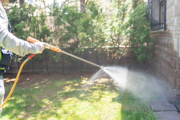 Best Local Pest Control Services  in Lisbon Falls, ME